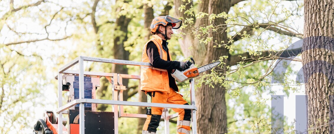 Sachgebietsleitung - Gärtnermeister*in Fachrichtung Garten- und Landschaftsbau (m/w/d), 1. Bild